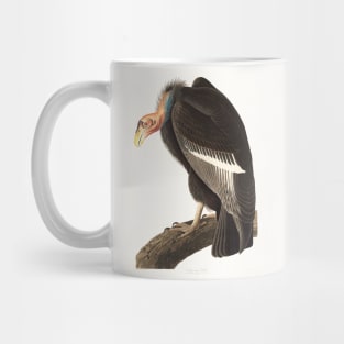 Californian Vulture (1827) Mug